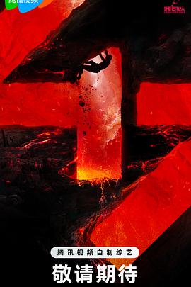 阿坝做优化网站价格